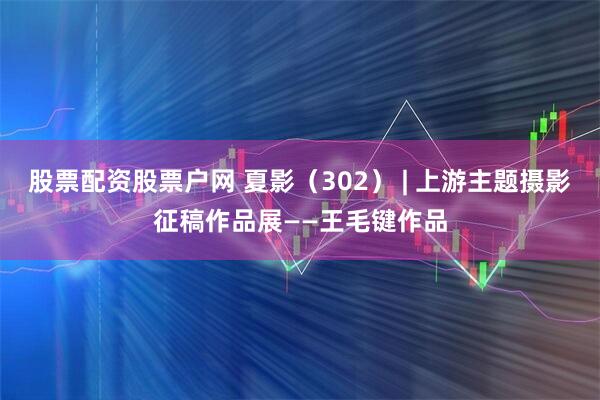 股票配资股票户网 夏影（302） | 上游主题摄影征稿作品展——王毛键作品