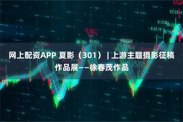 网上配资APP 夏影（301） | 上游主题摄影征稿作品展——徐春茂作品