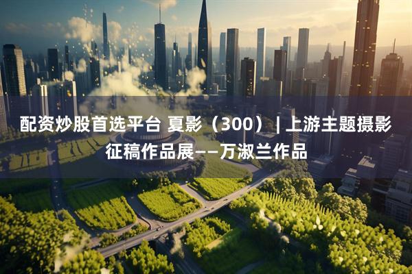 配资炒股首选平台 夏影（300） | 上游主题摄影征稿作品展——万淑兰作品