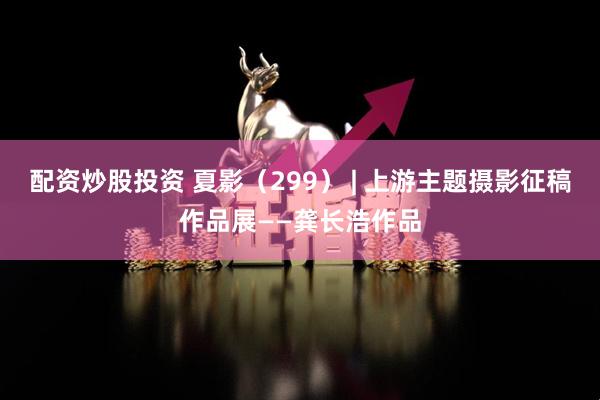 配资炒股投资 夏影（299） | 上游主题摄影征稿作品展——龚长浩作品